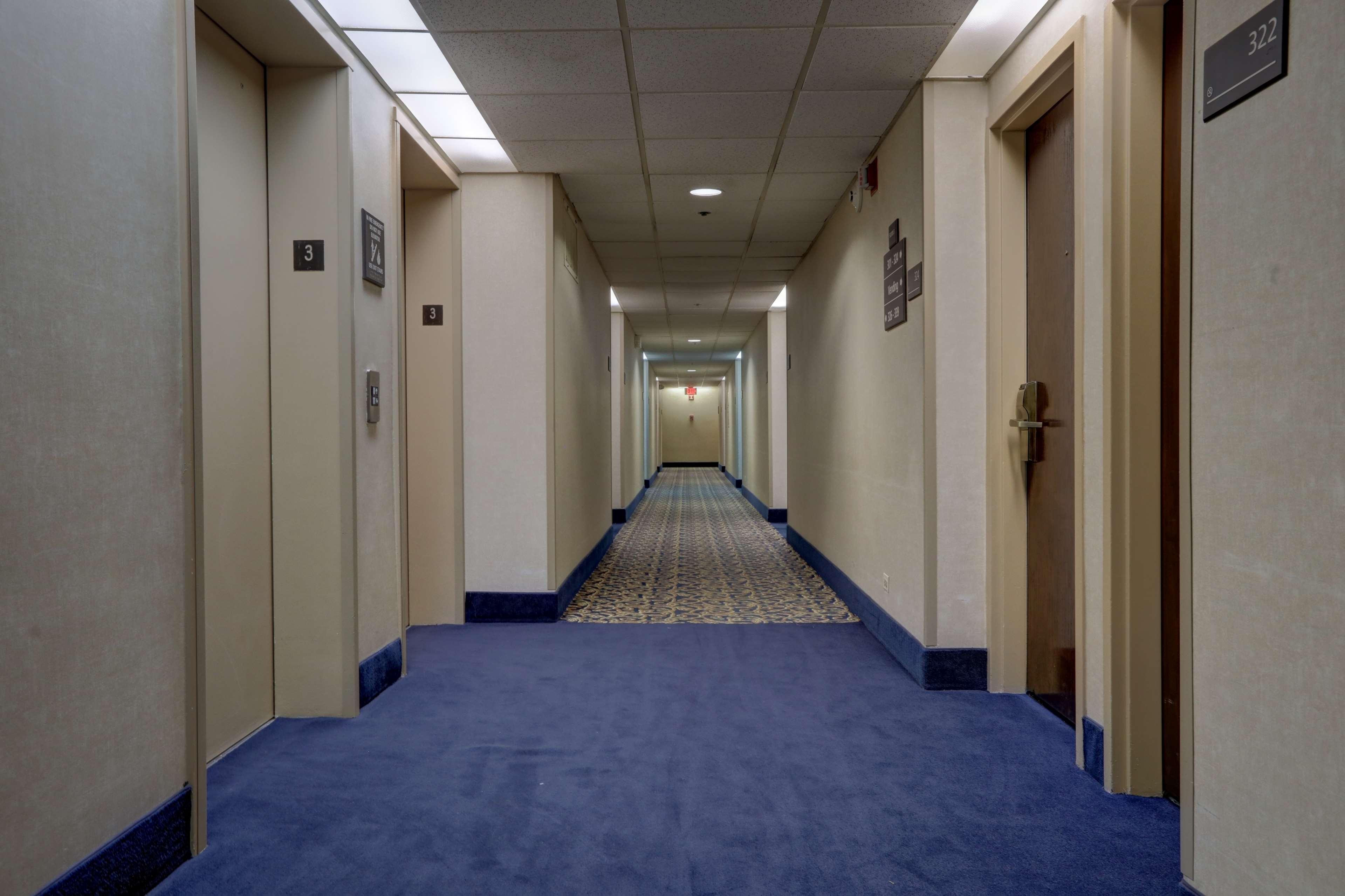 Surestay Plus Hotel By Best Western Chicago Lombard İç mekan fotoğraf